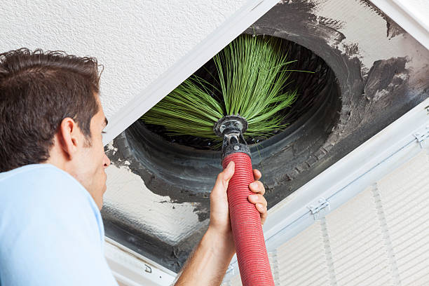 Best Dryer Vent Cleaning Services  in Catahou, LA